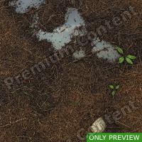PBR substance preview forest ground wet 0004